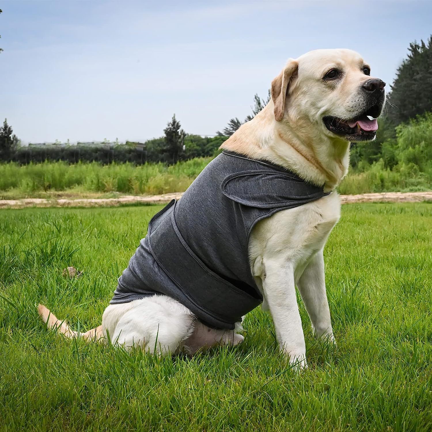 Classic Dog Anxiety Jacket – Breathable Thunder Vest for Stress & Fear Relief – Calming Compression Shirt for Dogs