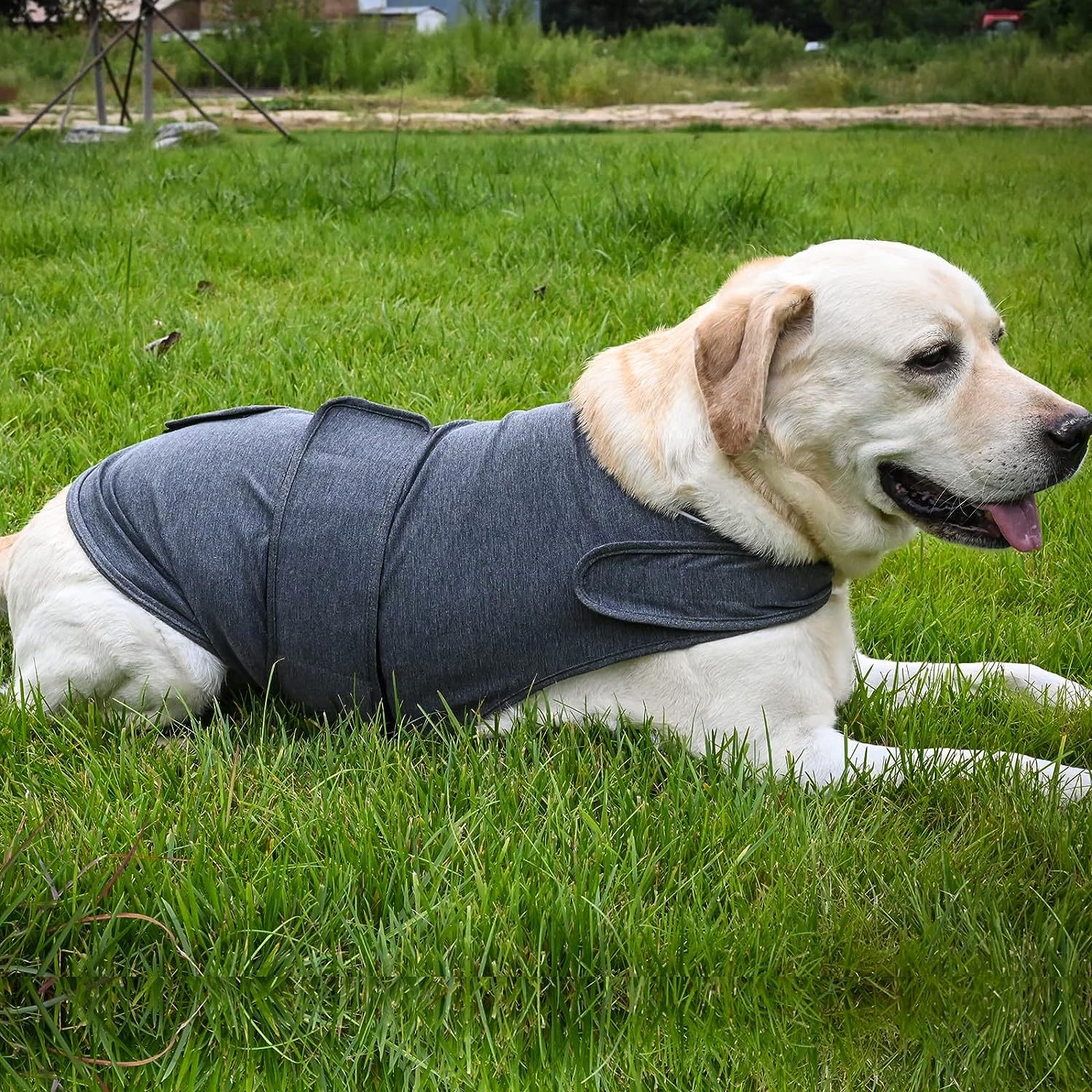 Classic Dog Anxiety Jacket – Breathable Thunder Vest for Stress & Fear Relief – Calming Compression Shirt for Dogs